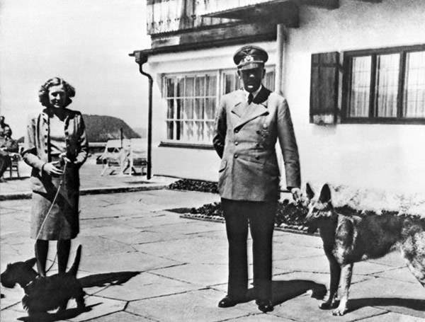 英国作家在新书中爆料：希特勒活到73岁