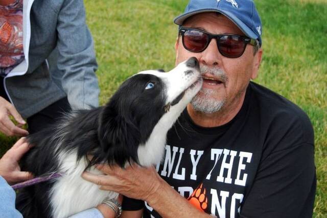 狗狗美国黄石公园走失42天寻回 变成皮包骨但健康全没有问题