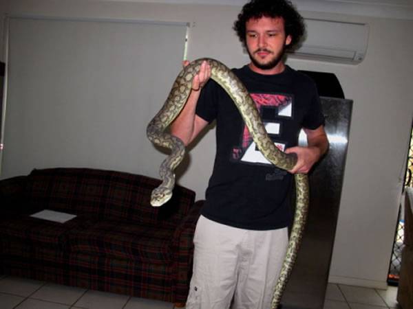 澳大利亚昆士兰省男子家中马桶内惊现3米长大蟒蛇