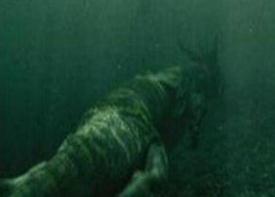 青海湖里惊现真龙视频，实则一种史前动物洞螈