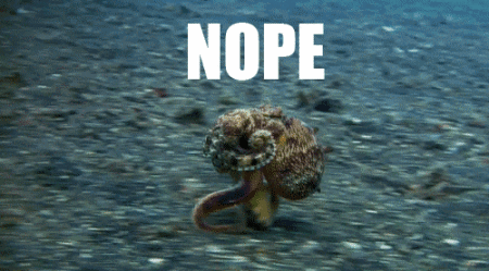 章鱼可能真的不是地球生物