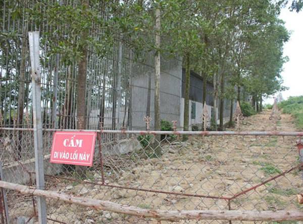 越南女子动物园看白虎越过护栏 醒来时左手不见了