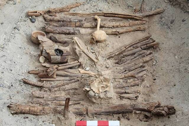 帕米尔高原吉尔赞喀勒墓地2500年前古墓中找到人类最早把大麻当药物使用的直接证据