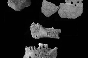 伯利兹玛雅城市Pakbitun古战士墓时发现两个战利颅骨