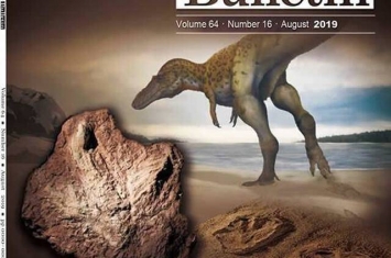 恐龙中的“末代皇帝”霸王龙大脚印化石现身江西赣州