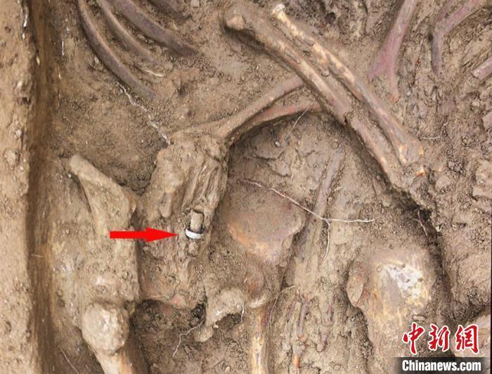 考古学家发现北魏时期最完整的“拥抱葬”