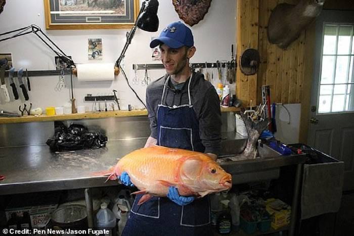 美国明尼苏达州男子在湖中抓到一条100岁基因突变大嘴水牛鱼