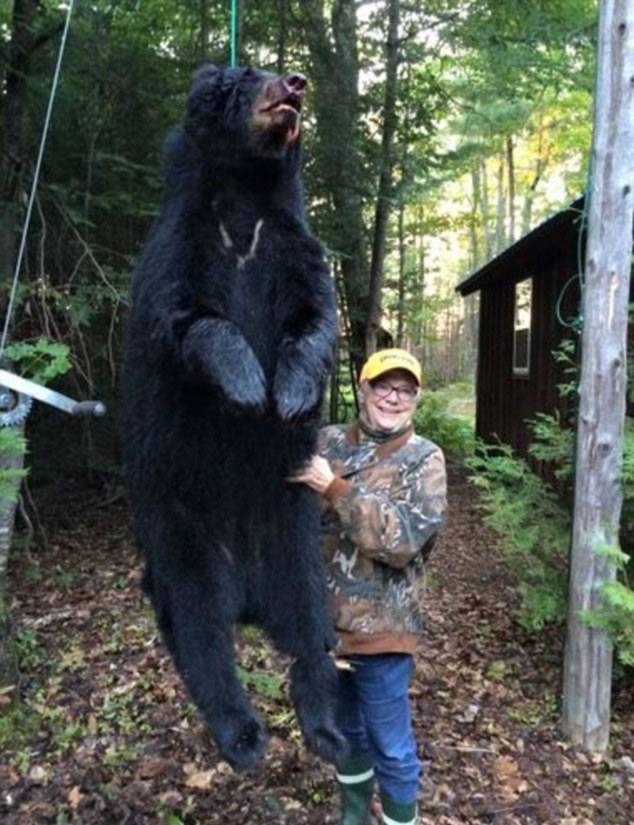 美国73岁老妇捕杀到一只巨大黑熊