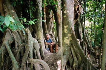 “真人版泰山”——澳大利亚84岁老翁福缅科在雨林生活逾60年