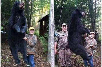 美国密歇根州73岁老婆婆13枪杀死220磅黑熊