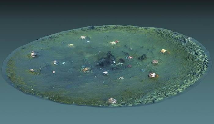 美国西海岸附近太平洋底发现数千个大小不一的凹坑 成因尚不完全清楚