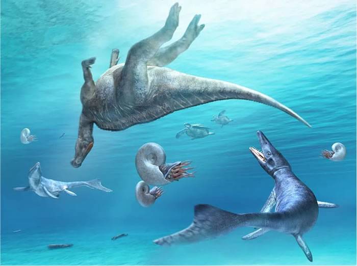 日本北海道Hakobuchi地层中发现晚白垩世鸭嘴龙新属种Kamuysaurus japonicus
