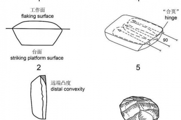 观音洞遗址不存在勒瓦娄哇技术——高星团队发表对“中国最早的勒瓦娄哇技术”的评述