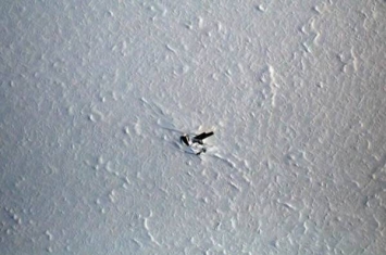 美国NASA侦察机在格陵兰发现冷战时期美军间谍机残骸