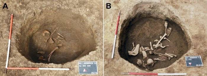 考古学家对克罗地亚奥西耶克市考古遗址2013年出土的怪异人类头骨进行研究