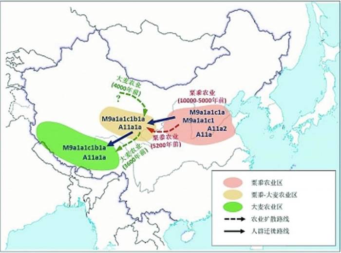 3600年前青藏高原的大麦农业是由低海拔地区的粟黍种植者带去的