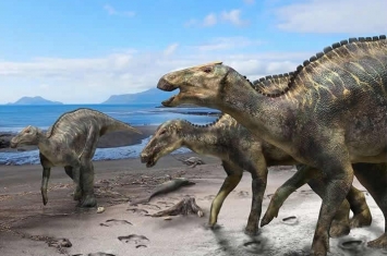 日本最大恐龙化石被正式认定为新种 命名为“日本神龙”Kamuysaurus japonicus