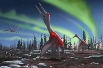 加拿大艾伯塔省30多年前出土的化石终证属新品种翼龙Cryodrakan boreas