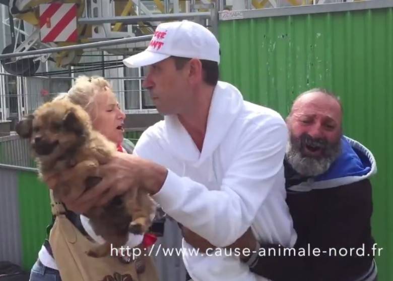 法国“爱护”动物组织强抢街头流浪汉的爱犬