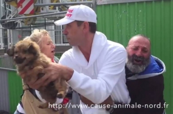 法国“爱护”动物组织强抢街头流浪汉的爱犬
