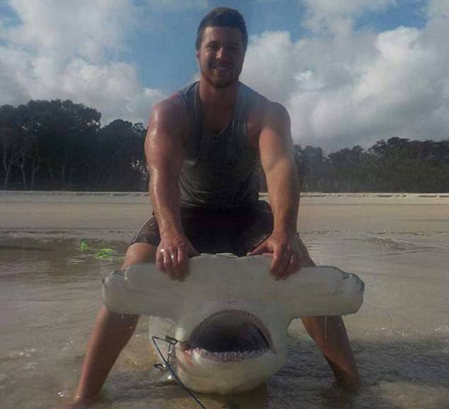 澳大利亚昆士兰州19岁青年一周之内捕到3条大鲨鱼