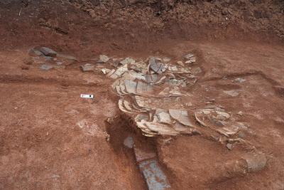 湖南郴州市北湖区黄泥塘墓群发现汉至唐代墓葬