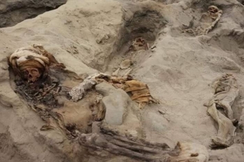 秘鲁北部发现一座古代奇穆王国古坟场 献祭孩童安抚神灵