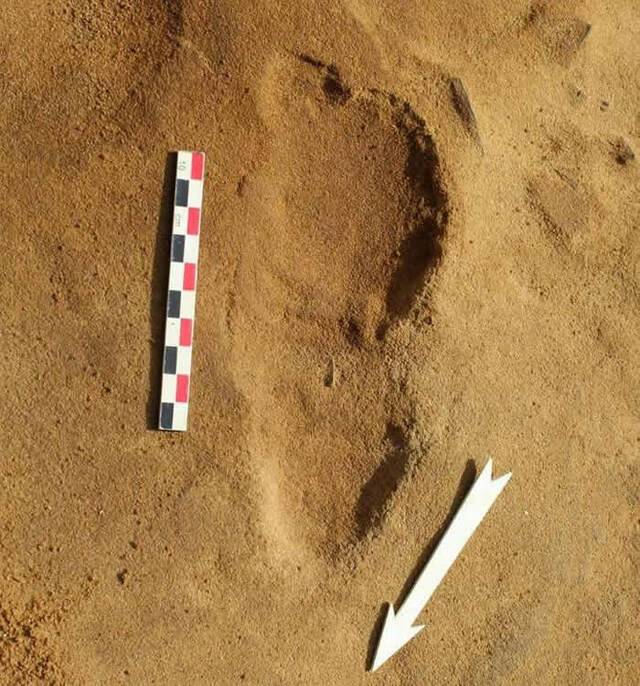 法国勒罗泽市的英吉利海峡岸边发掘出257个约8万年前尼安德特人的脚印化石