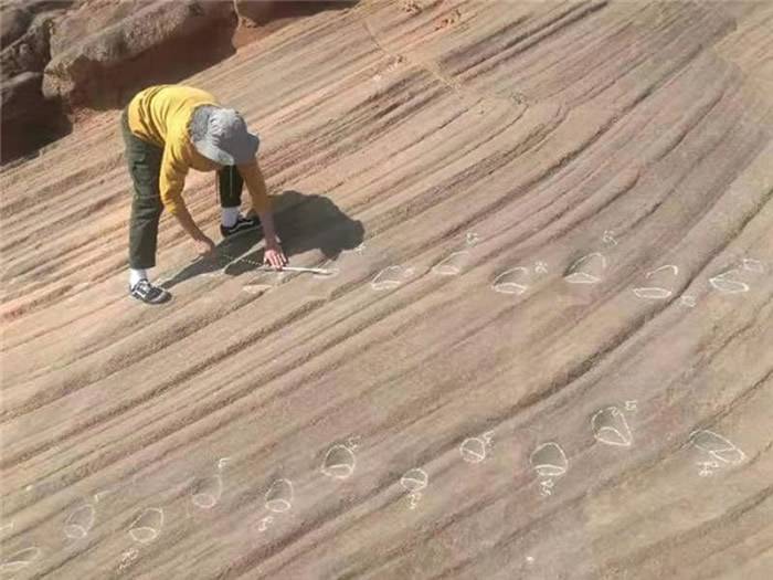 陕西省北部靖边县发现9组恐龙足迹化石