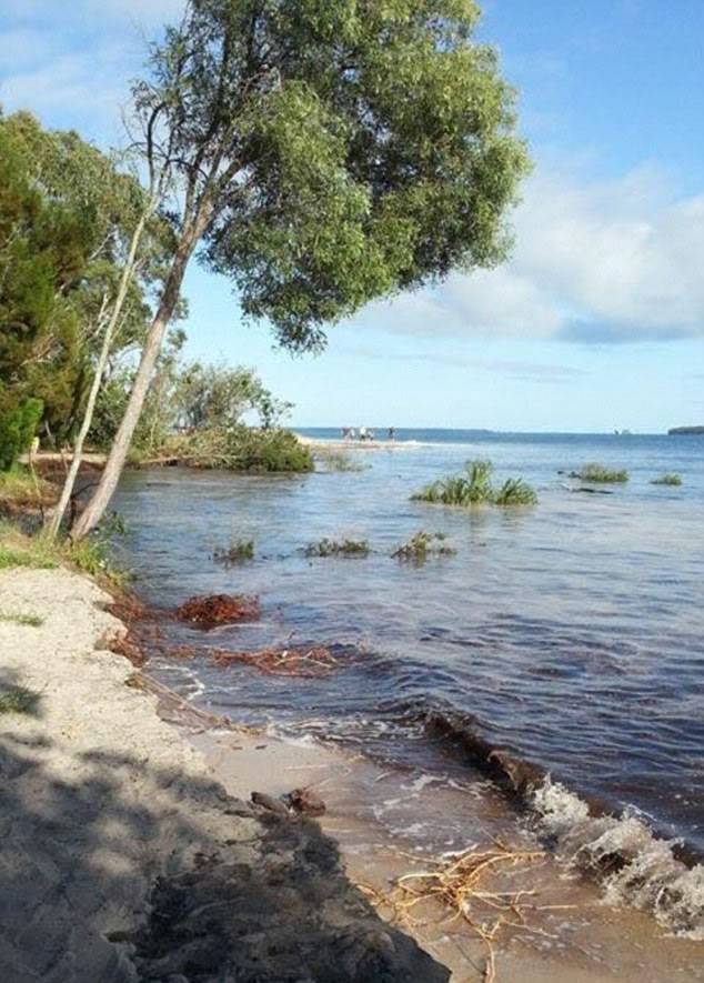 澳洲昆士兰彩虹海滩附近露营营地突然出现百米巨坑 吞没汽车200人速逃