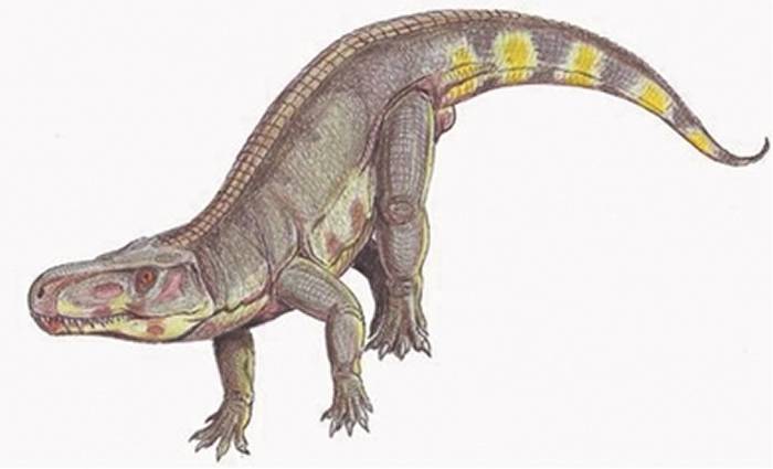 2.1亿年前让食草动物陷入恐慌的并非大型食肉恐龙 而是劳氏鳄？