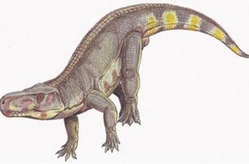 2.1亿年前让食草动物陷入恐慌的并非大型食肉恐龙 而是劳氏鳄？