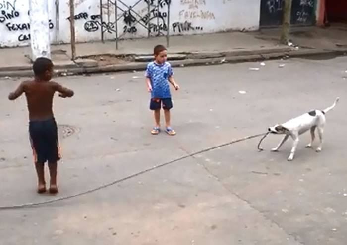 巴西小童玩跳绳 小狗参与口叼绳子一头