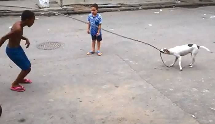 巴西小童玩跳绳 小狗参与口叼绳子一头