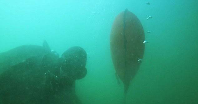 潜水员在新西兰惠灵顿港海床清理发现深藏海底的868枚金币