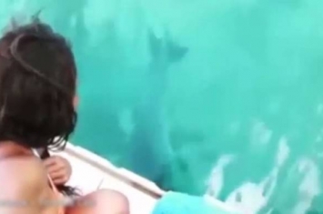 女子不慎将手机跌进海中 海豚突然冒出将手机交回
