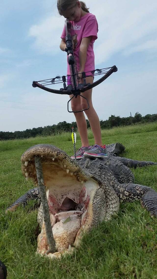美国德州10岁女孩猎杀363公斤鳄鱼 被批令人作呕