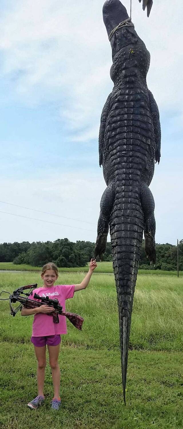 美国德州10岁女孩猎杀363公斤鳄鱼 被批令人作呕