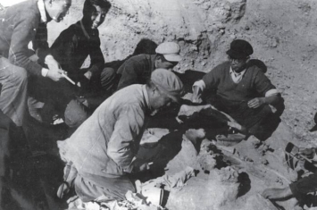 新中国考古事业70年——高星：中国旧石器时代考古学的回顾与展望