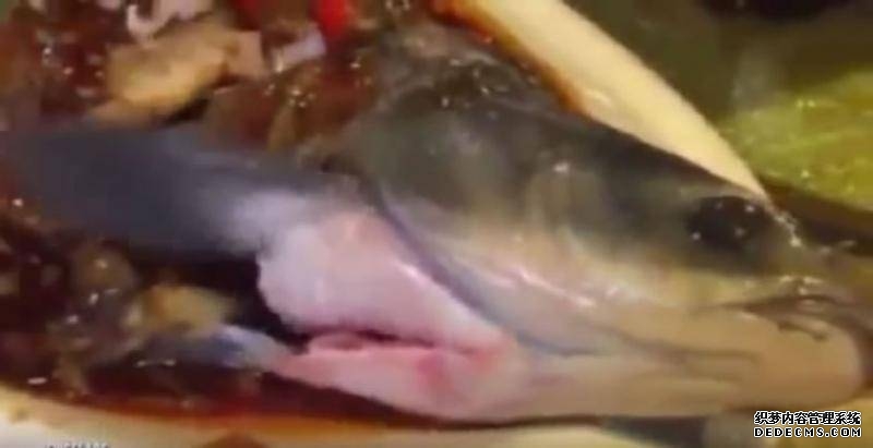 广州市越秀区餐馆“僵尸鱼zombie fish”吓坏人
