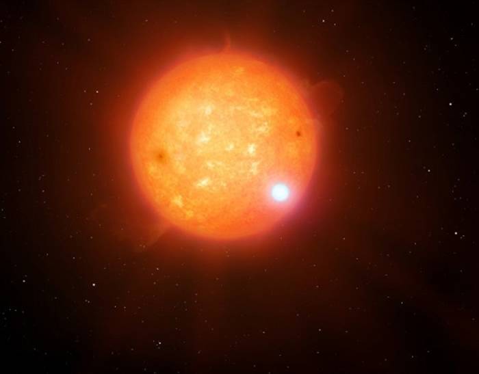 发现了首颗存在掩食现象的白矮星+冷亚矮星双星 并测量出冷亚矮星的质量和半径