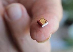 世界上最小的书，仅25微米比人的头发还小(要用显微镜看)