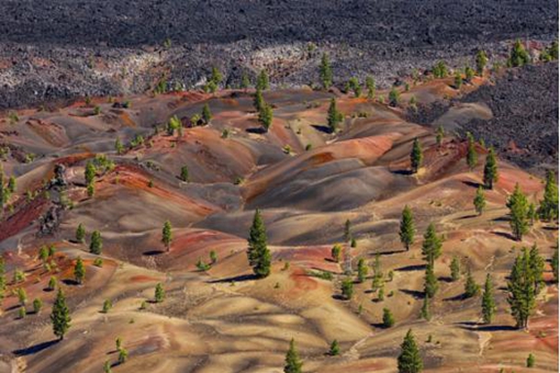 历史上最具有毁灭性的十大火山是哪十个,差点导致地球物种灭绝