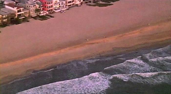 美国加州洛杉矶橘子郡海滩3米鲨鱼出没