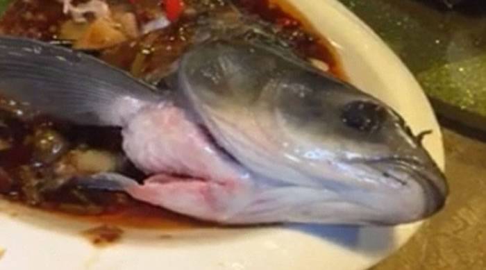 广州餐馆一条煮熟的鱼仍在动？