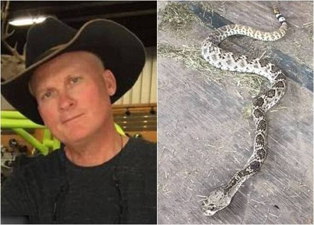 美国德州乡谣歌手上传杀死响尾蛇照片称自卫 网民批评“自找”