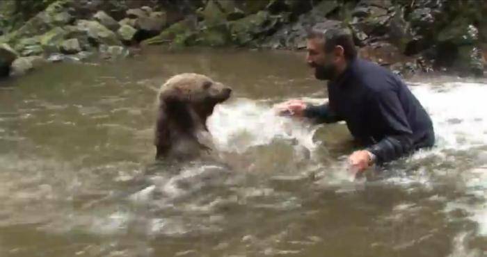 土耳其胆大男子与灰熊在溪水中戏水玩耍做出过分亲密、危险动作