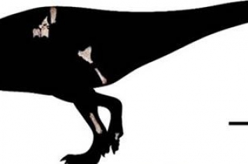 白垩纪“暹罗鲨齿龙”：泰国出土1.15亿年前顶级大型食肉恐龙化石