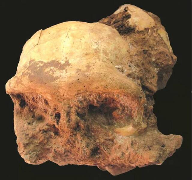 安徽是古人类理想栖息地 先后发现和县猿人、银山智人和华龙洞古老型智人