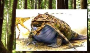 史前最大的青蛙，虾蟆螈(长达5米/竟以恐龙为食)